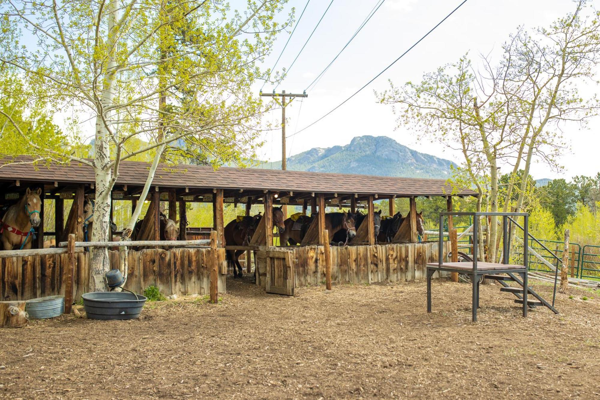 The Meeker Park Lodge Allenspark Buitenkant foto