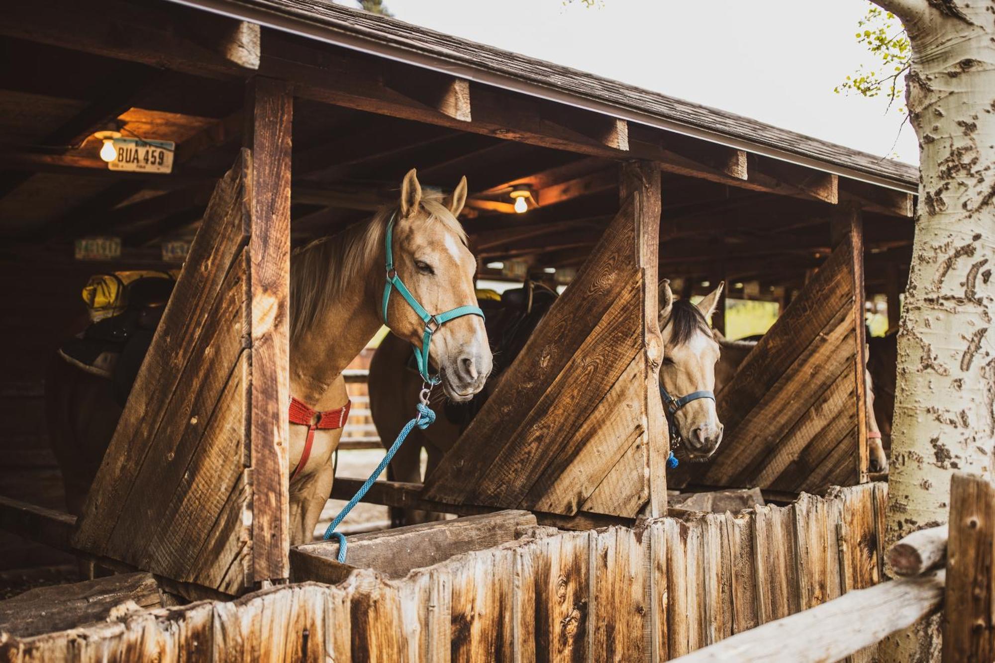 The Meeker Park Lodge Allenspark Buitenkant foto